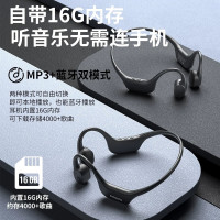 飞利浦(PHILIPS)TAA6609 蓝牙无线耳机 挂耳式骨传导 16G自存储 黑色 运动耳机