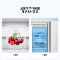 米家冰箱 对开门610L 冰晶白 BCD-610WGSA