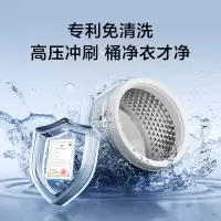 小天鹅(LittleSwan)波轮洗衣机小型全自动家用 8KG 直驱变频 TB8V28DT[-]