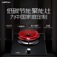 华帝燃气灶JZ20(Y、T、R).1-BH833A