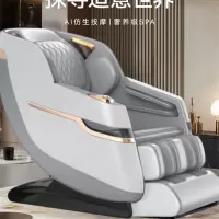 舜灏 按摩椅 SH-DC-852 单位:台