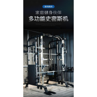 舜灏 SH-EM938F 史密斯深蹲综合训练架 单位:个