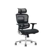 中意贝田 BT-BGY6610 办公椅久坐舒适人体工学椅可躺椅子升降转椅