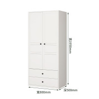 中意贝田XJ-LM1钢制衣柜家用卧室简易出租房经济简约组合衣柜-2门柜(带双抽) 800*500*1950mm