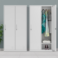 中意贝田 42*90*180CM加厚钢制二门更衣柜