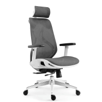 中意贝田 BT-Y430 久坐舒适护腰人体工学电脑椅轻奢豪华仿生家用椅全网办公升降转椅 HJ