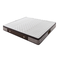 中意贝田 BT-CD802 1.5米弹簧垫透气材质软硬适中床垫 1500*2000mm HJ