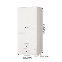 中意贝田XJ-LM1钢制衣柜家用卧室简易出租房经济简约组合衣柜-2门柜(带双抽) 800*500*1950mm HJ