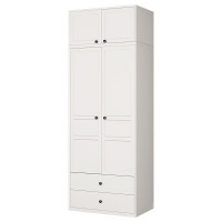 中意贝田XJ-LM1钢制衣柜家用卧室简易出租房经济简约组合衣柜-2门柜(带双抽顶柜) 800*500*2350mm HJ