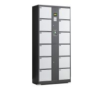 中意贝田TBC-6电子存包柜商场超市单位智能寄存柜储物柜 12门微信扫码存包柜 HJ