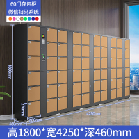 中意贝田TBC-6电子存包柜商场超市单位智能寄存柜储物柜 60门微信扫码存包柜 HJ