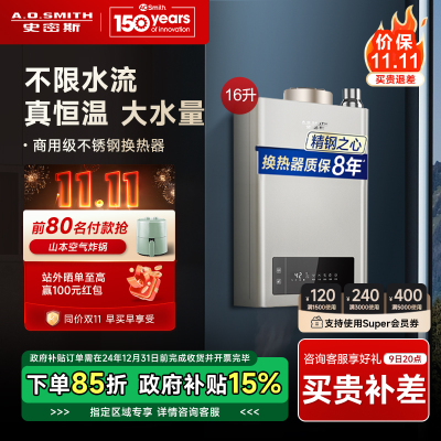 [盛鹏达]A.O.史密斯燃气热水器JSQ31-MN5