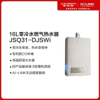 [盛鹏达]A.O.史密斯燃气热水器JSQ31-DJSWi