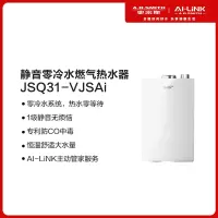 [盛鹏达]A.O.史密斯燃气热水器JSQ31-VJSAi
