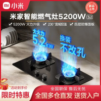小米米家智能燃气灶S2猛火5.2KW爆炒台嵌两用厨房天然气灶