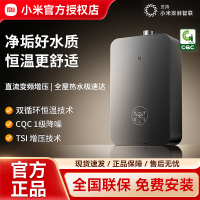 米家智能净垢双循环燃气热水器P10 16L