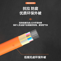 礼嘉/LIJIA LJ-GJFJV-C48 光缆 100 非屏蔽 低烟无卤 电线/电缆