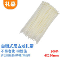 礼嘉/LIJIA LJ-ZD16 白色 100支 扎带