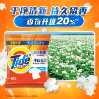 汰渍洗衣粉 508g 1袋装
