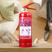 绿消 2公斤干粉灭火器国标车载家用商用消防器材年检3c认证灭火器2kg