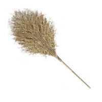 苏宁宜品 竹扫把户外庭院大竹扫 竹柄4斤款 SNYP-ZSB-003 1把