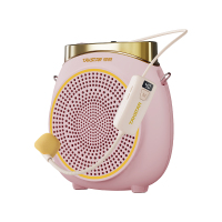 得胜 E10W 无线扩音器