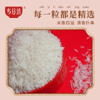 乡谷坊玉晶油粘香大米长粒香米5kg丝苗米10斤30斤猫牙米 油粘香米10斤