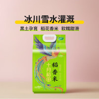 十月稻田凤凰呈祥稻香米2.5kg .