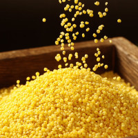 燕之坊 四珍黄小米礼盒2.88kg小米粥家庭早餐煮粥杂粮企业团购员工福利