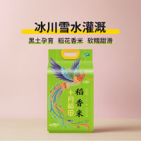 十月稻田凤凰呈祥稻香大米5kg .