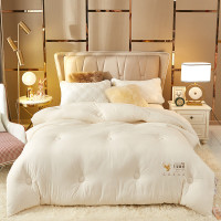 南方生活生姜暖绒四季被