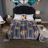 南方生活金貂绒毛毯