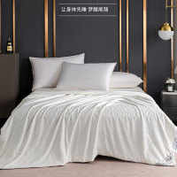 浪莎舒适蚕丝被 LSDB006
