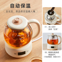 小熊(Bear)煮茶器煮茶壶 养生壶烹煮一体茶壶迷你蒸茶器 316L喷淋式不锈钢烧水壶黑茶茶具1升ZCQ-F10N7