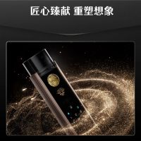 德施曼 K80 智能锁哨兵猫眼掌静脉识别锁可视大屏猫眼指纹锁玄武·紫禁城K80 玄武金