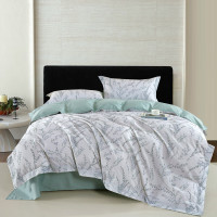 百维丝淡雅长绒棉四件套BWS-TJ7518 被套:200*230 床单240*250 枕套:48*74*2