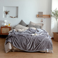 百维丝丽肤绒四季盖毯BWS-TZ8162 200*cm230cm