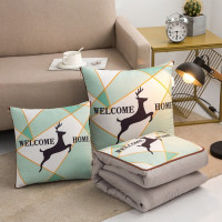 百维丝时尚抱枕被BWS-ZX3781 抱枕:40*40cm*1/被芯:105*150cm