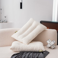 百维丝乳胶颗粒按摩枕BWS-ZX3782 40*60cm*2