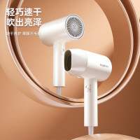 龙的(longde)电吹风LD-BQ1811
