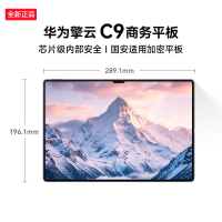 华为(HUAWEI擎云C9 平板电脑国密安全芯片可拆WiFi蓝牙 教育学习办公平板 13.2英寸 12+512GB砚黑
