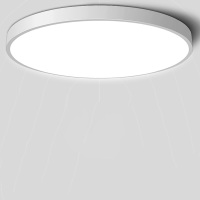 岁艺 感应灯吸顶灯走廊楼道过道阳台车库灯具人体感应吸顶灯 36W 220V 1只装