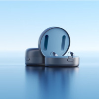 挚听 耳背式助听器 Dion 5(双耳肉色)专用助听器重度耳聋耳背远程验配调机RIC1.0Max(成都)