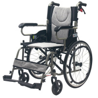 鳯凰 手动轮椅车 PHWOO1A 钢制带折背安全带(绵阳平武)