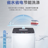 海尔(Haier)波轮全自动洗脱一体升级大屏家用宿舍出租房筒自洁节能洗衣机 XQB80-M106