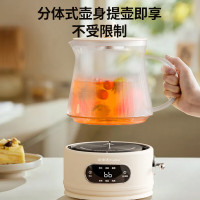 荣事达(Royalstar)全玻璃养生壶花茶壶0涂层迷你烧水壶保温一体恒温电热水壶围炉煮茶小型煮茶器YSH1223