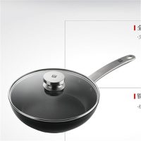 双立人(ZWILLING)- 24cm 煎锅ZW-EY002