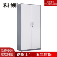 科朔文件柜通双节文件柜钢柜钢制办公室资料柜储物柜KS-G009