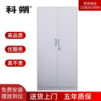 科朔文件柜铁皮柜资料柜办公室柜子档案柜 通门五层凭证柜 KS-G041 850W*390D*1800H