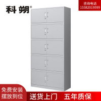 科朔文件柜铁皮柜资料柜办公室柜子档案柜 五层凭证柜 KS-G043 850W*390D*1800H